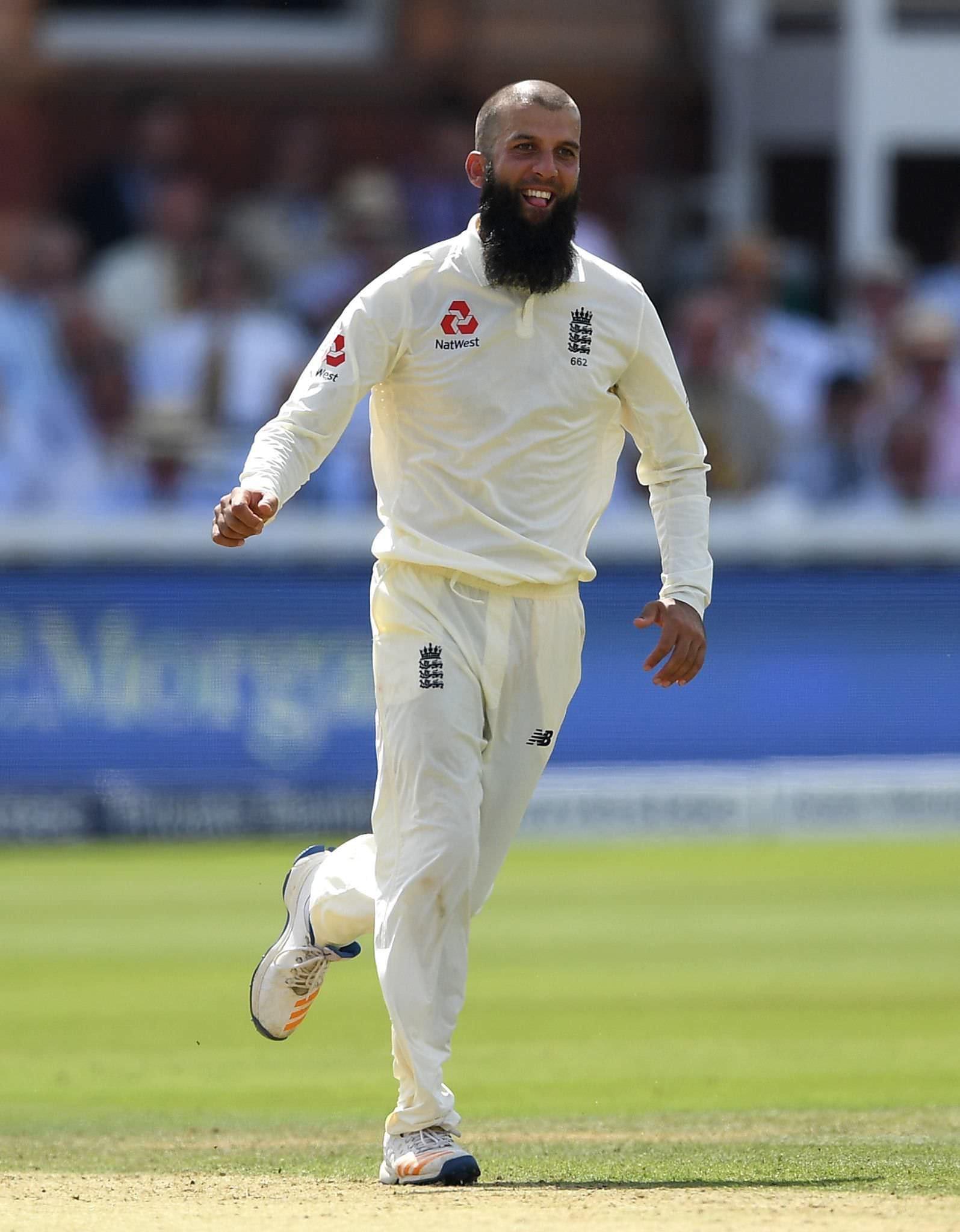 moeen ali Conceptual Visualization