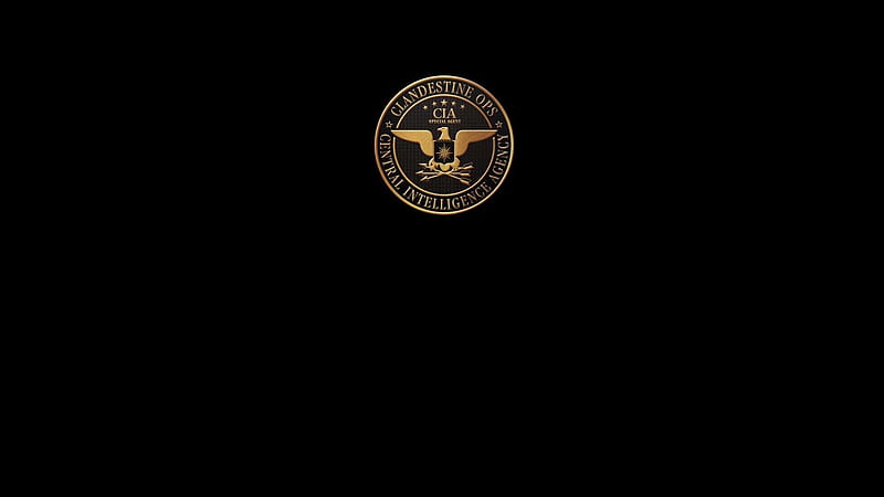 cia Conceptual Visualization