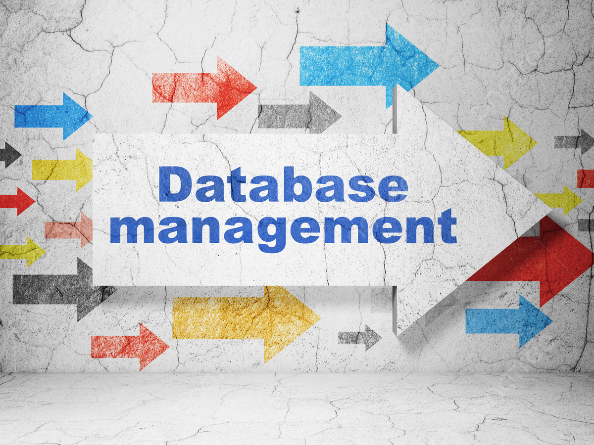 AppzVenture’s Scalable Database Management Services Conceptual Visualization