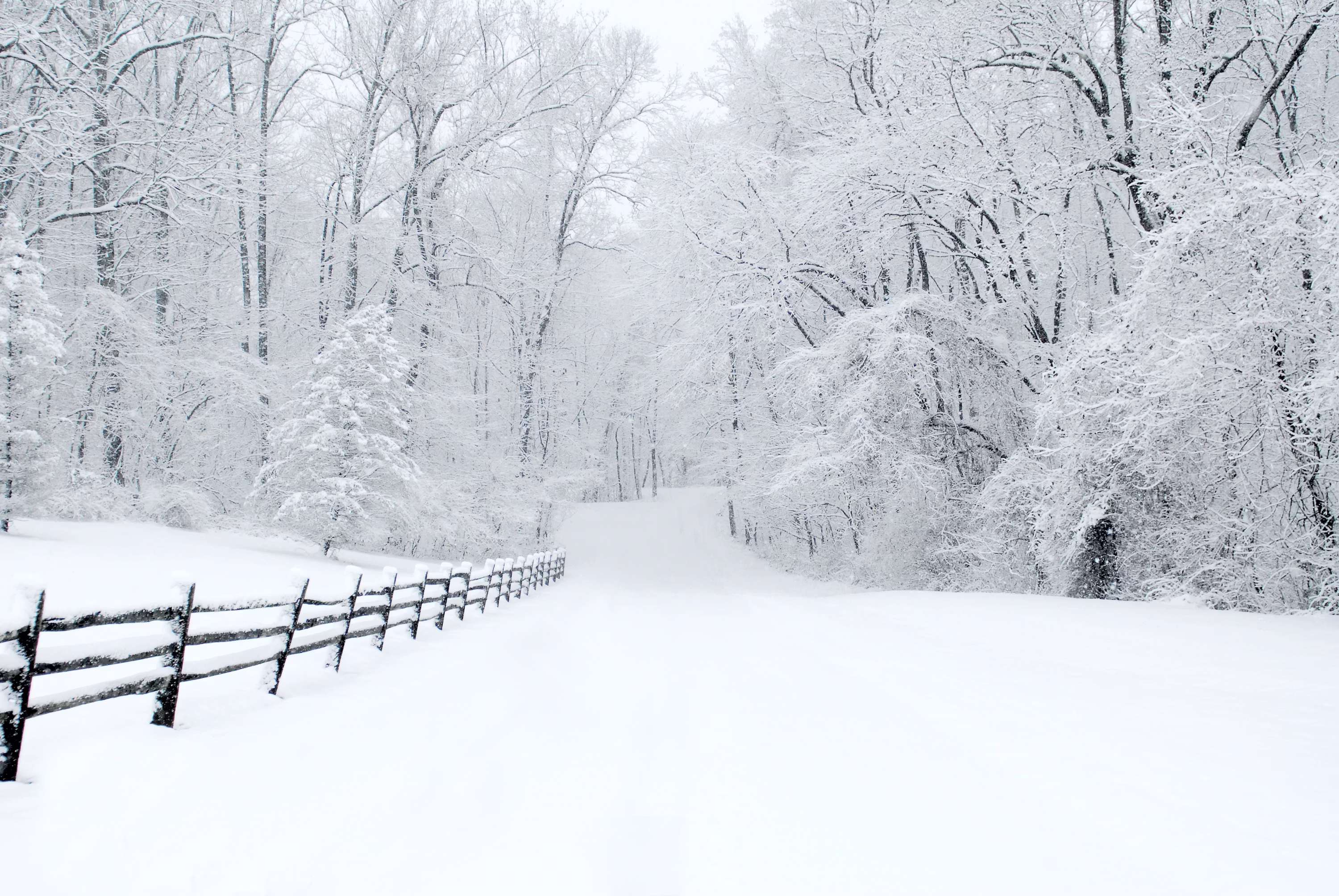 weather forecast snow storm Conceptual Visualization